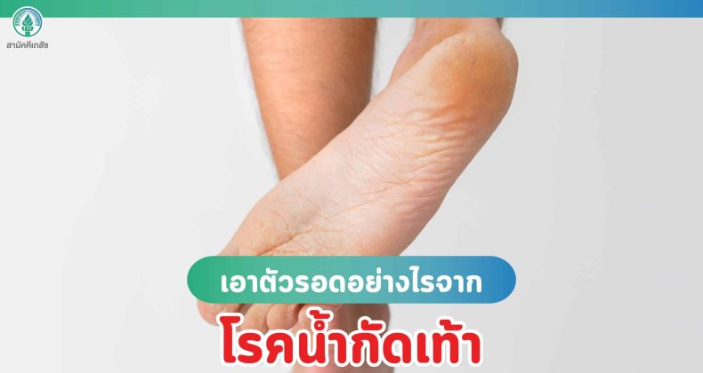 2022-11-16 Seo Nov-01