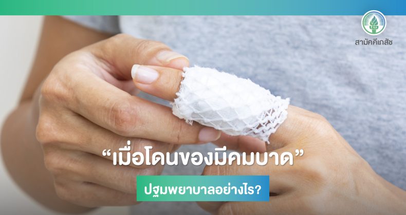 Content1-01