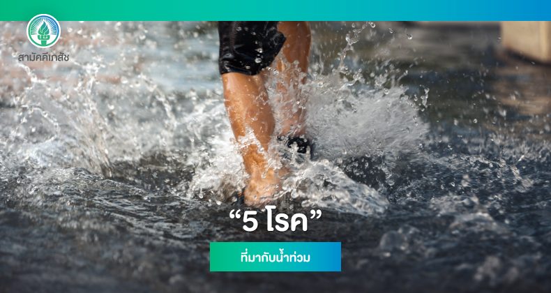 Website-Content-05