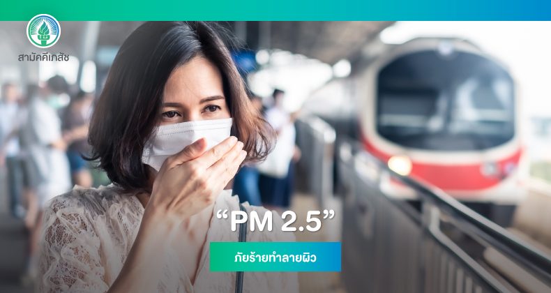 Website-Content-pm25