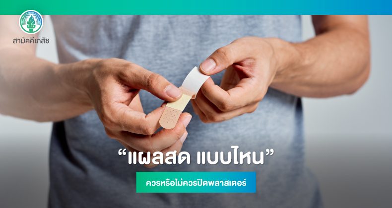 Website-Content-พลาสเตอร์