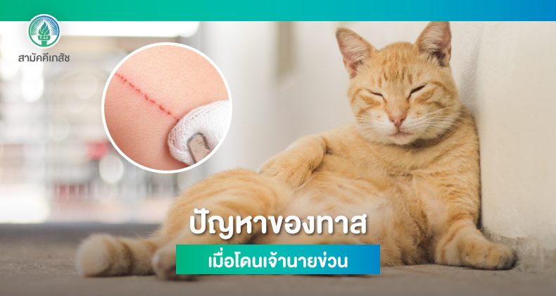 Website-Content2