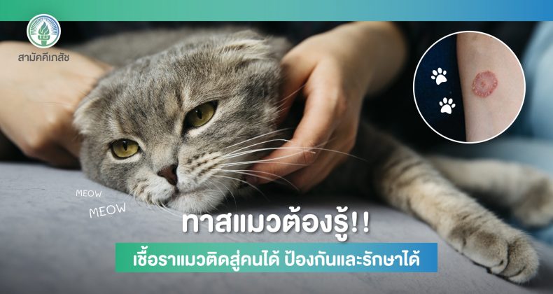 Website Content3-01 2