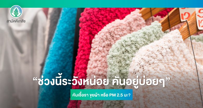 เสื้อหนาวมือสอง